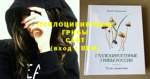 гидра Абинск