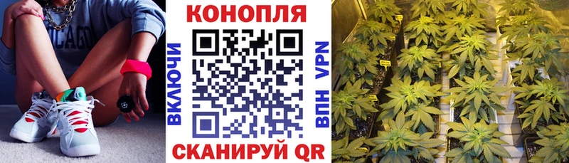 Шишки марихуана MAZAR Новосиль